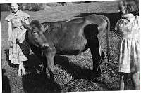 FF-2022-Ranveig Åsebø 13.tif