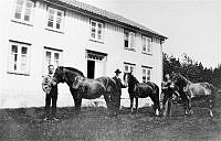 LHL-Tønnesøl Øvre-2987.jpg