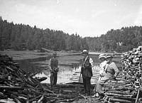 K-TW-11956_1.tif