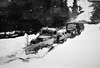 LHL-Øvre Landvik-3103.jpg