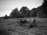 K-TW-11934_1.tif